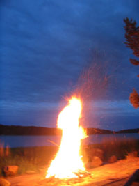 Kokko 2005