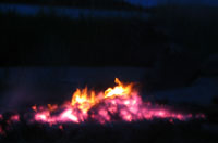 Kokon hiillos